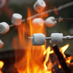 Marshmallows au feu de bois